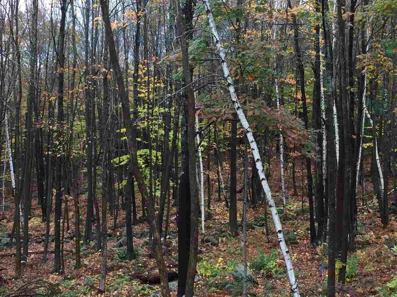 0 Bailey Road, Unit 66B Chichester, NH 03258 - Photo 14 of 15