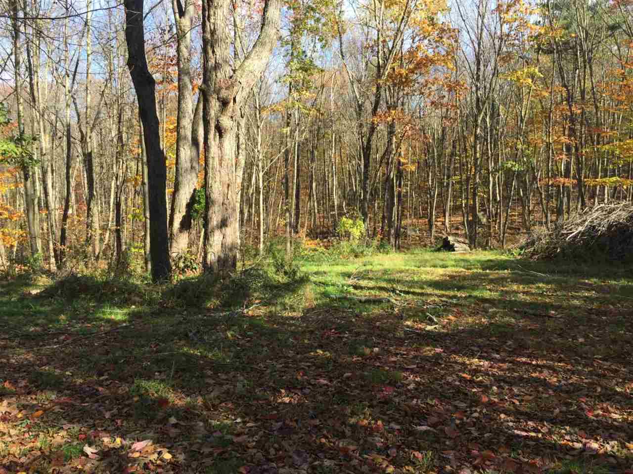 0 Bailey Road, Unit 66B Chichester, NH 03258 - Photo 15 of 15