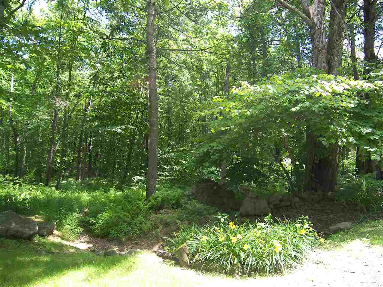 0 Bailey Road, Unit 66B Chichester, NH 03258 - Photo 5 of 15
