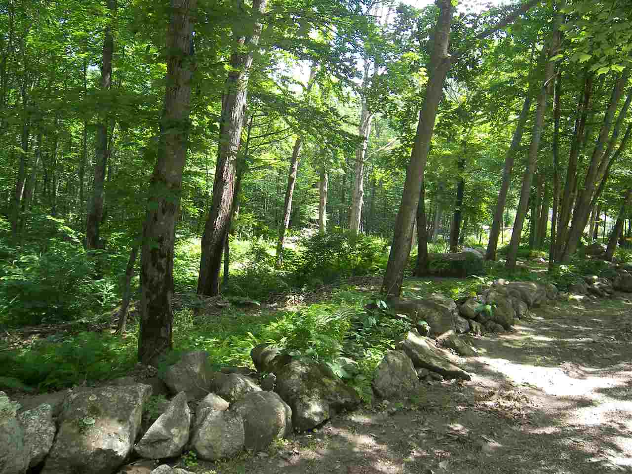 0 Bailey Road, Unit 66B Chichester, NH 03258 - Photo 7 of 15