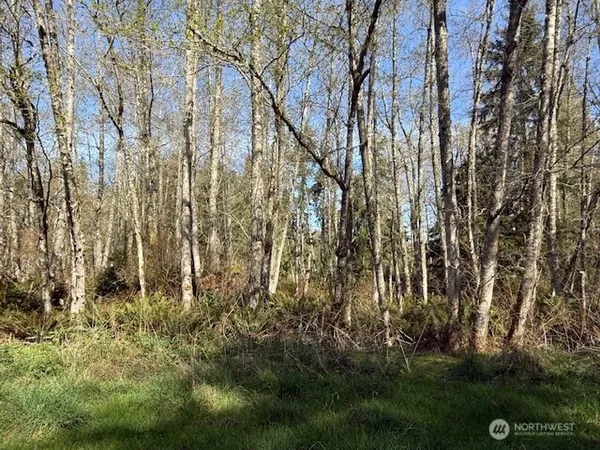 $29,500 | 15 Ander Park Road, Freeland, WA 98249
