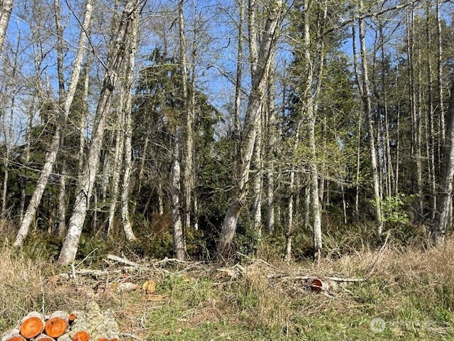 15 Ander Park Road Freeland, WA 98249 - Photo 2 of 4