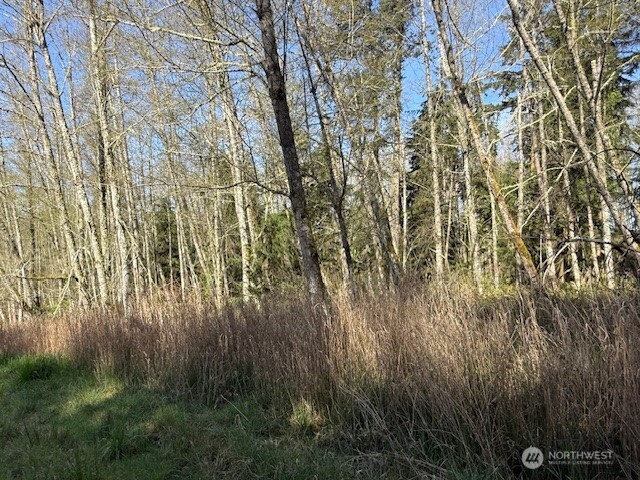 15 Ander Park Road Freeland, WA 98249 - Photo 4 of 4