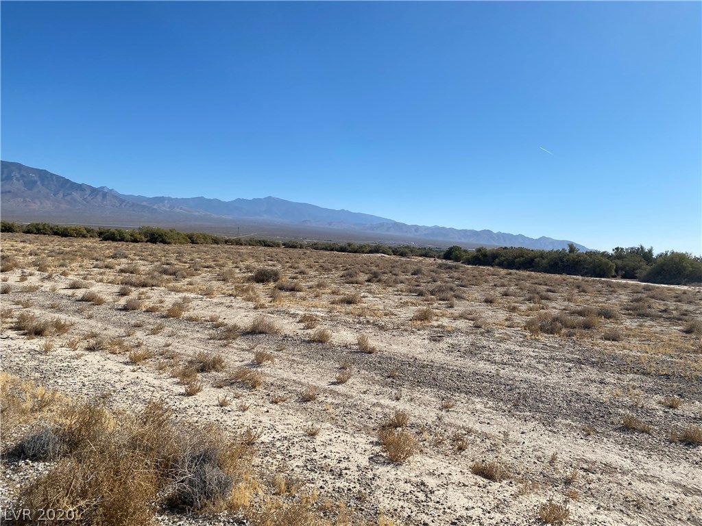 2690 Decatur Avenue Pahrump, NV 89060 - Photo 6 of 6 Gallery Image 6