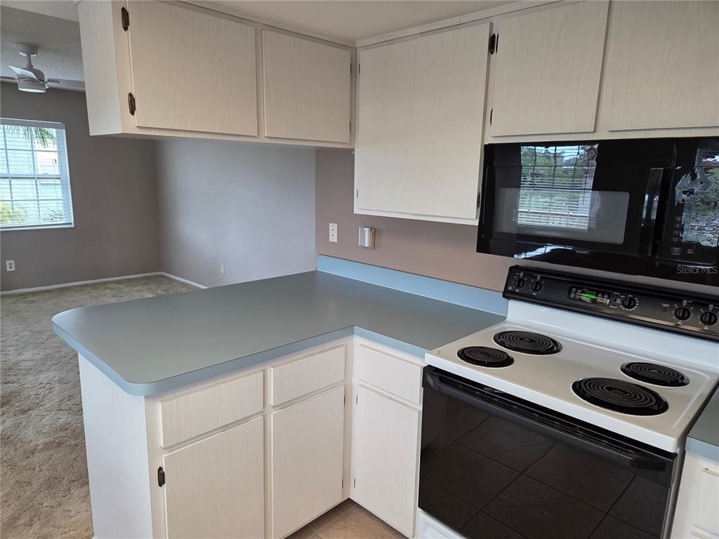 2529 San Luis Road Holiday, FL 34691 - Photo 7 of 16