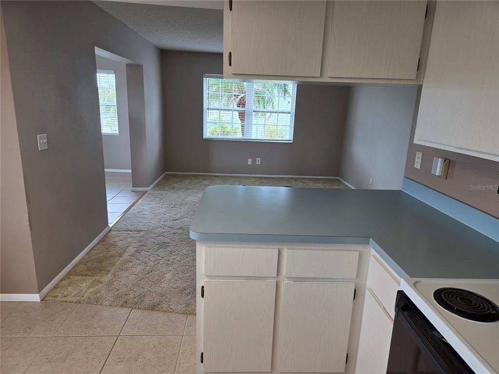 2529 San Luis Road Holiday, FL 34691 - Photo 8 of 16