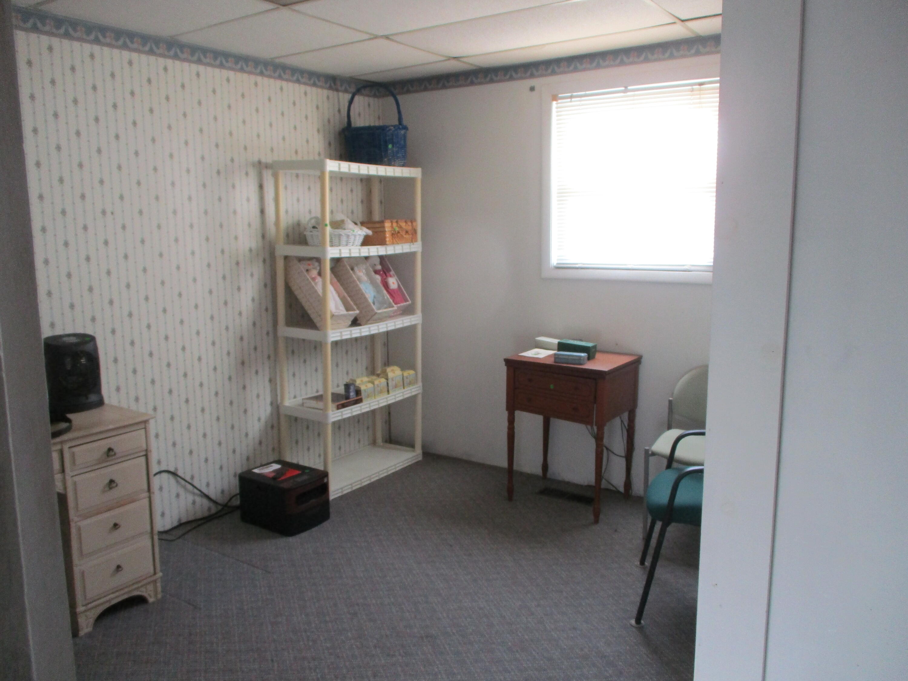 3425 West Fenwick Road Greenville, MI 48838 - Photo 16 of 23 IMG_6955