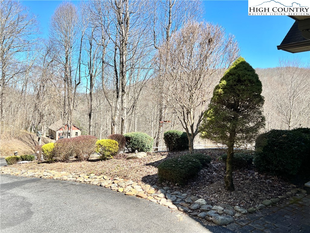 259 The Settlement Boone, NC 28607 - Photo 43 of 50 a view of a yard with plants and a bench