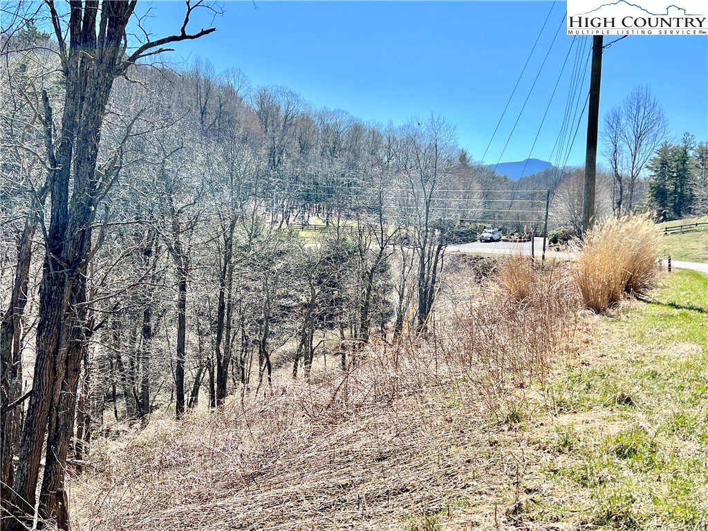 259 The Settlement Boone, NC 28607 - Photo 48 of 50 a view of a yard covered with snow in the background