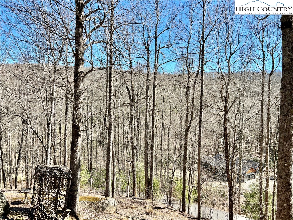 259 The Settlement Boone, NC 28607 - Photo 9 of 50 a view of outdoor space with city view