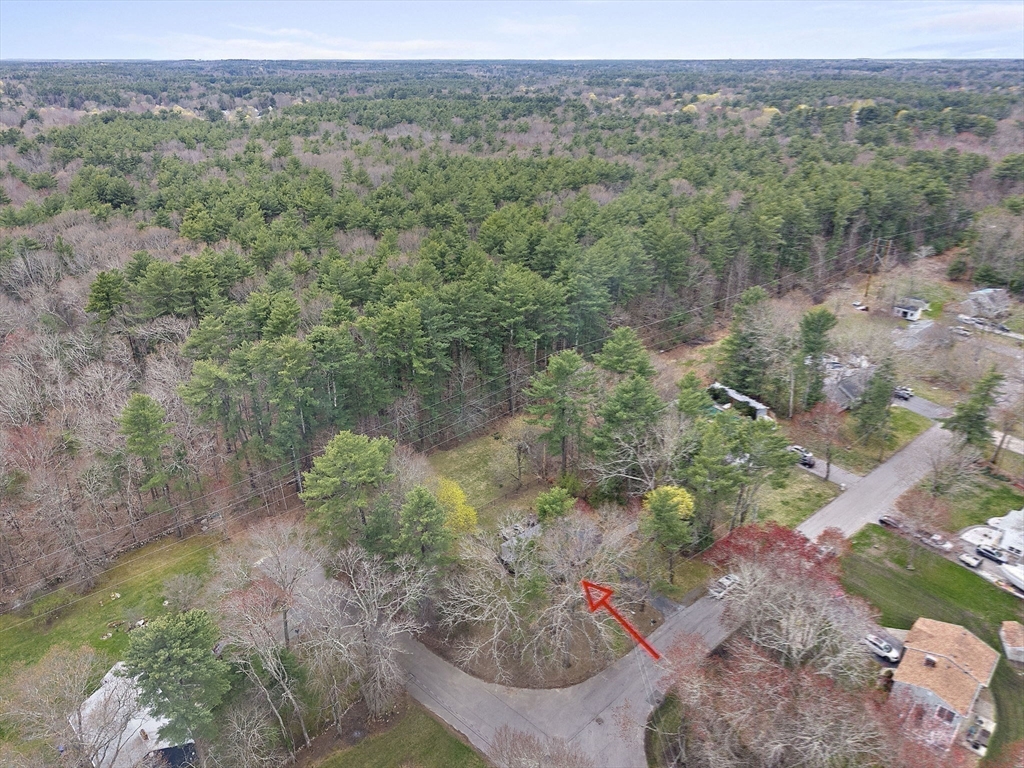 113 Bradford Road Hanover, MA 02339 - Photo 32 of 35