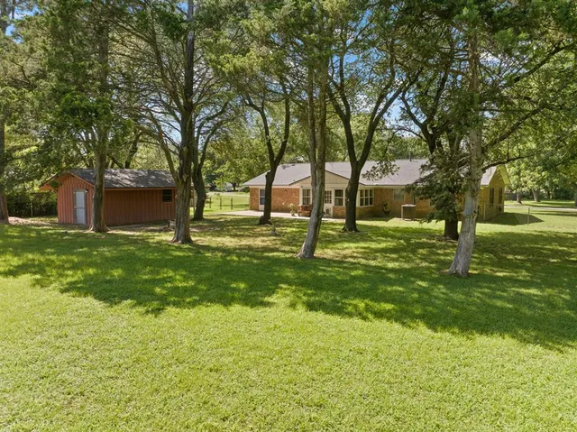 a view of a backyard with tree s