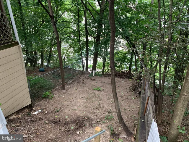 a view of a backyard