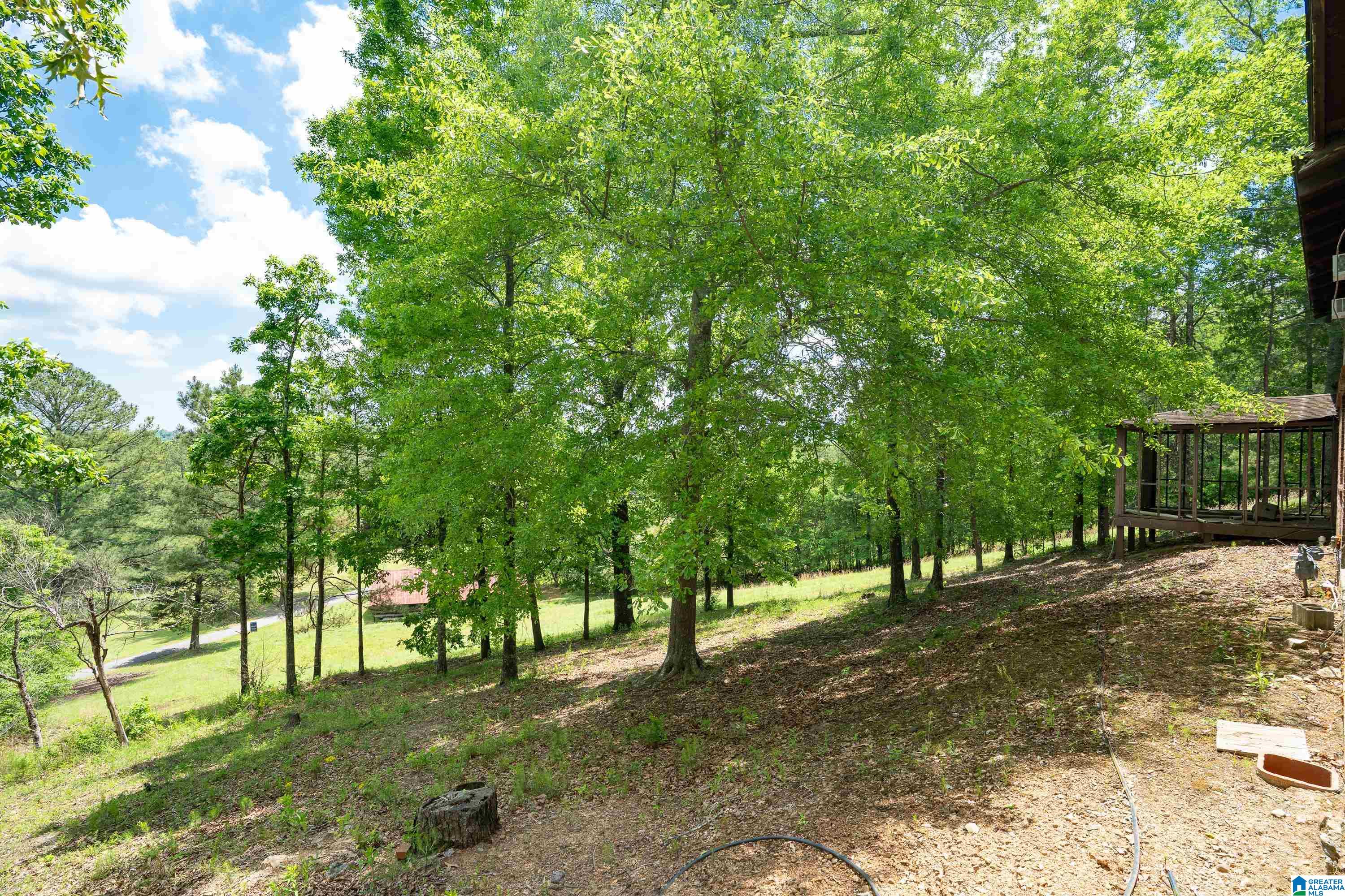 297 Cain Road Chelsea, AL 35043 - Photo 7 of 33