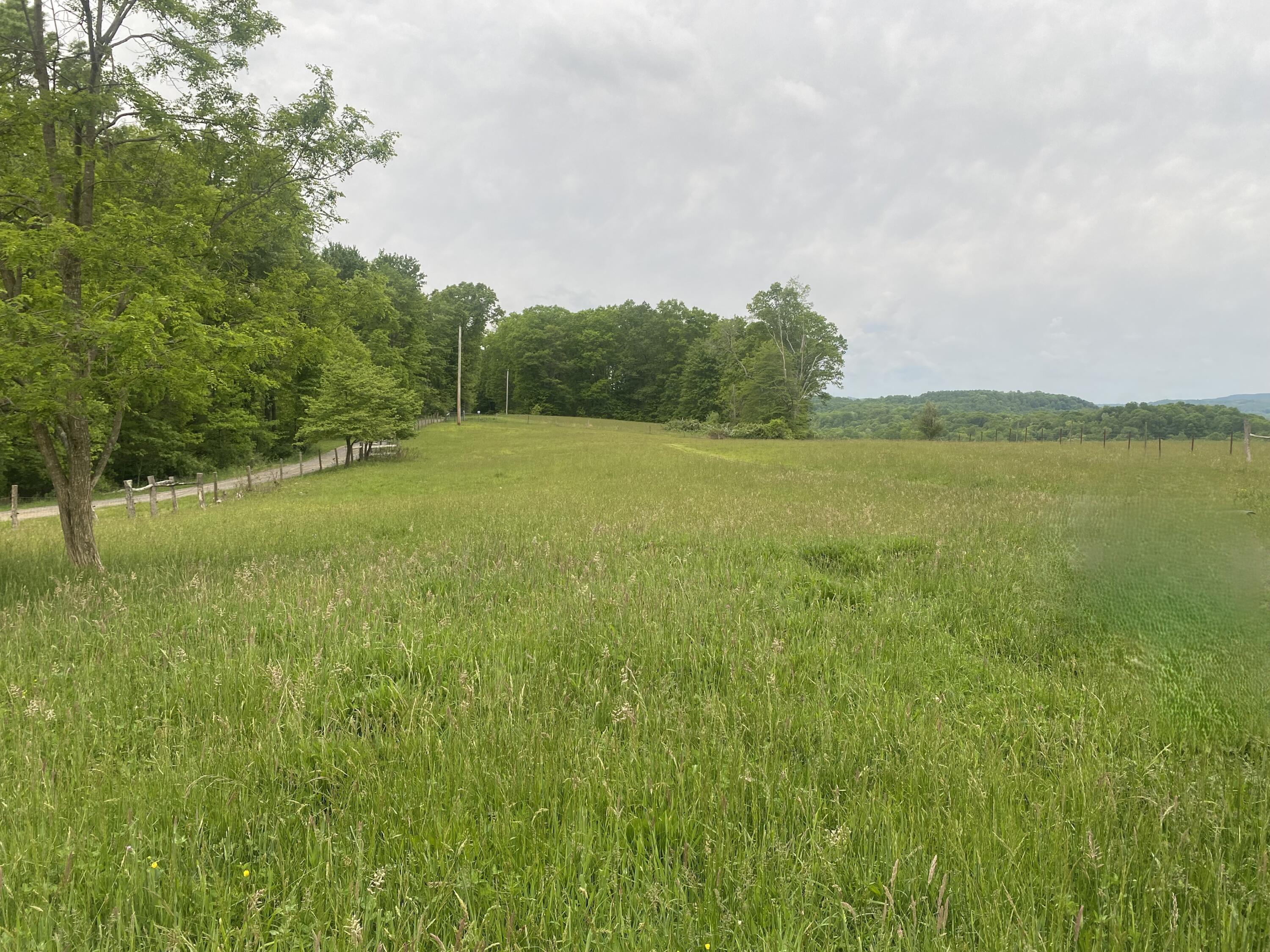 254 Tanyard Road Smoot, WV 24977 - Photo 57 of 84 Gallery Image 57