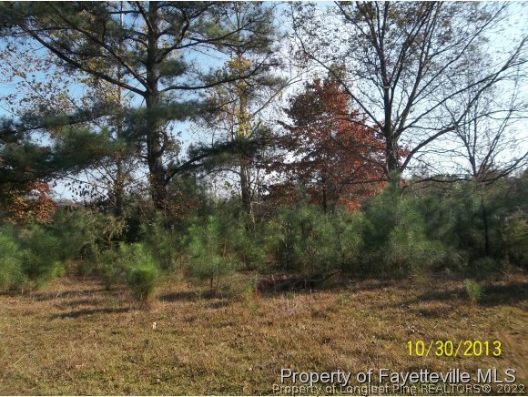 854 Ranch Road Raeford, NC 28376 - Photo 1 of 2 a view of a yard