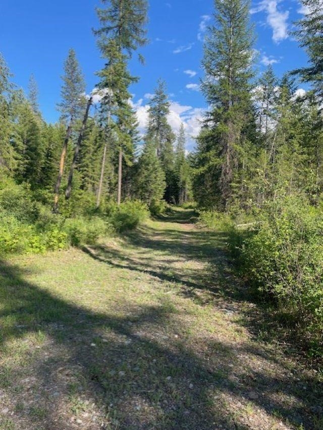 Nkn Bead Lake Road Oldtown, ID 83822 - Photo 23 of 27