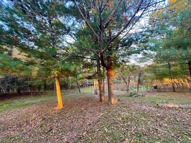 Lot 263 Islanders Way Gladwin, MI 48624 - Photo 4 of 10