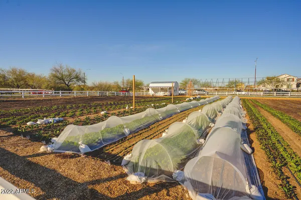 $2,100 | 9833 East Stratus Avenue, Mesa, AZ 85212