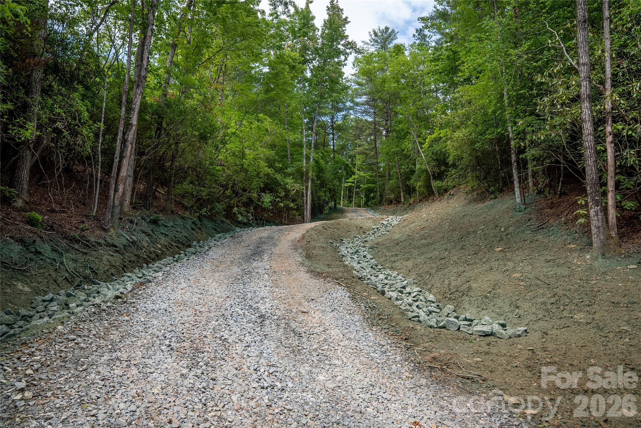 Tbd Cherryfield Loop Brevard, NC 28712 - Photo 15 of 15