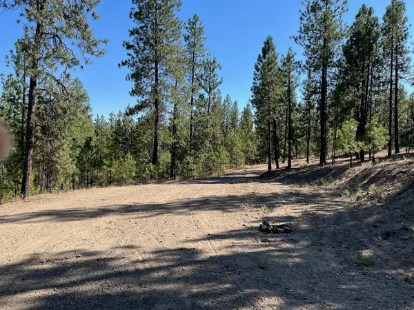 $87,000 | Lot 3-top Lot 3-top Notch Bob White Lane, Davenport, WA 99122