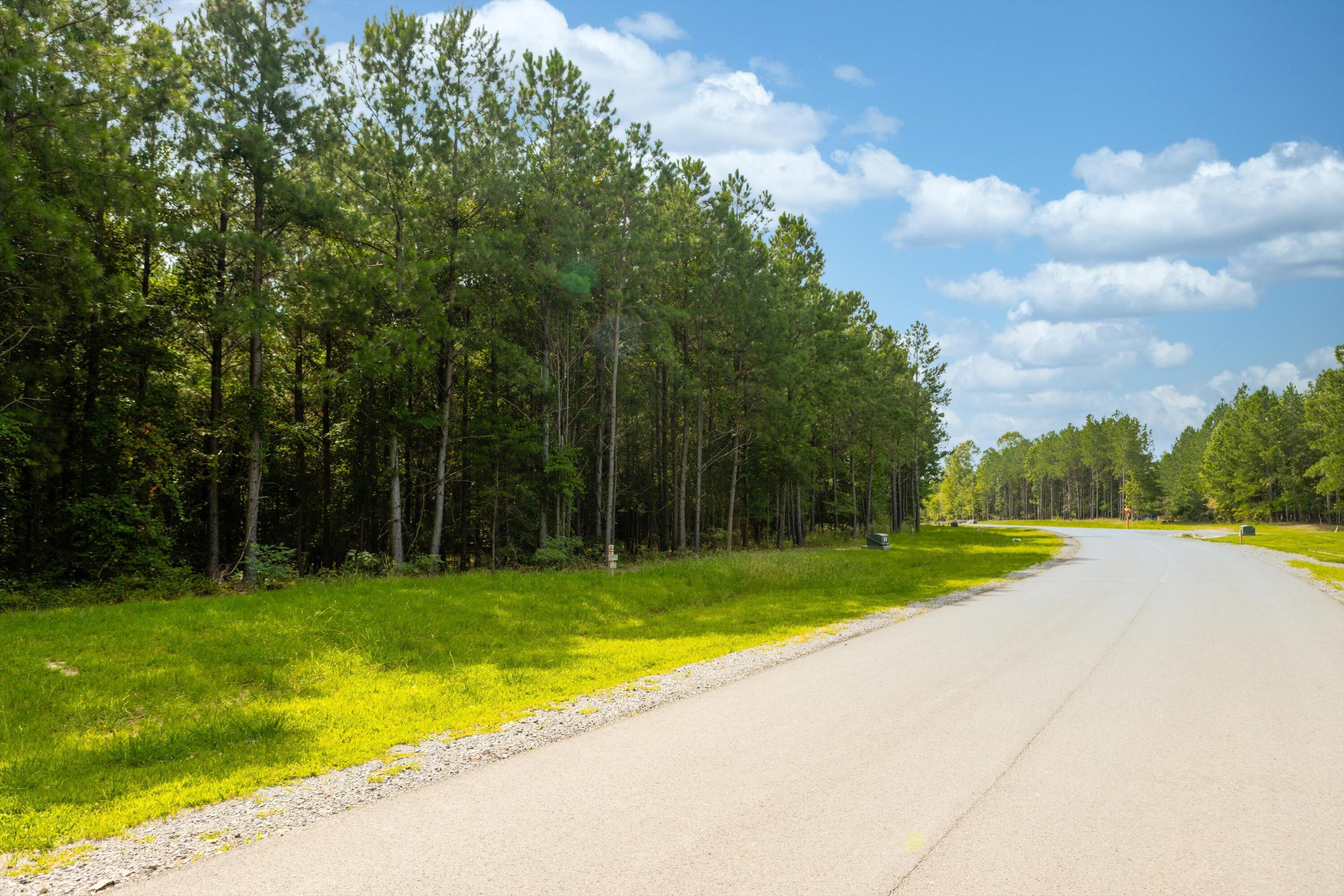 3525 Crockett Point, Unit JF135 Jasper, TN 37347 - Photo 3 of 22 01-JF135 (1 of 2)