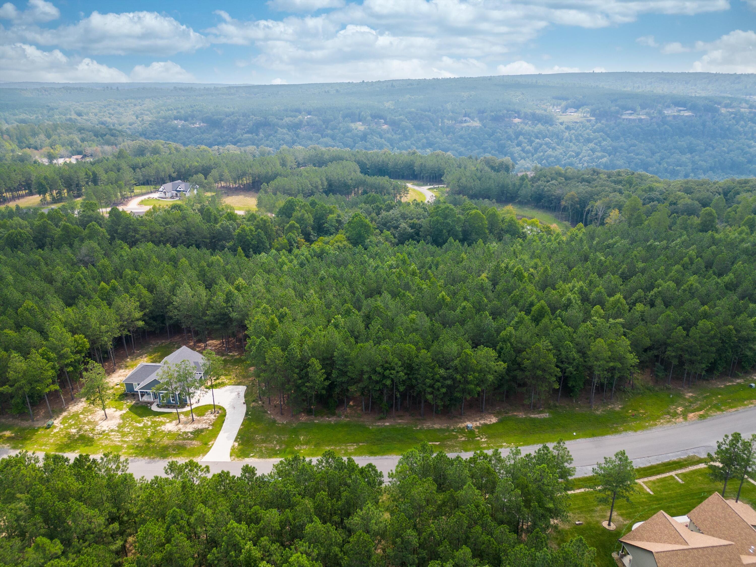 3525 Crockett Point, Unit JF135 Jasper, TN 37347 - Photo 6 of 22 06-JF135 Aerial (1 of 9)