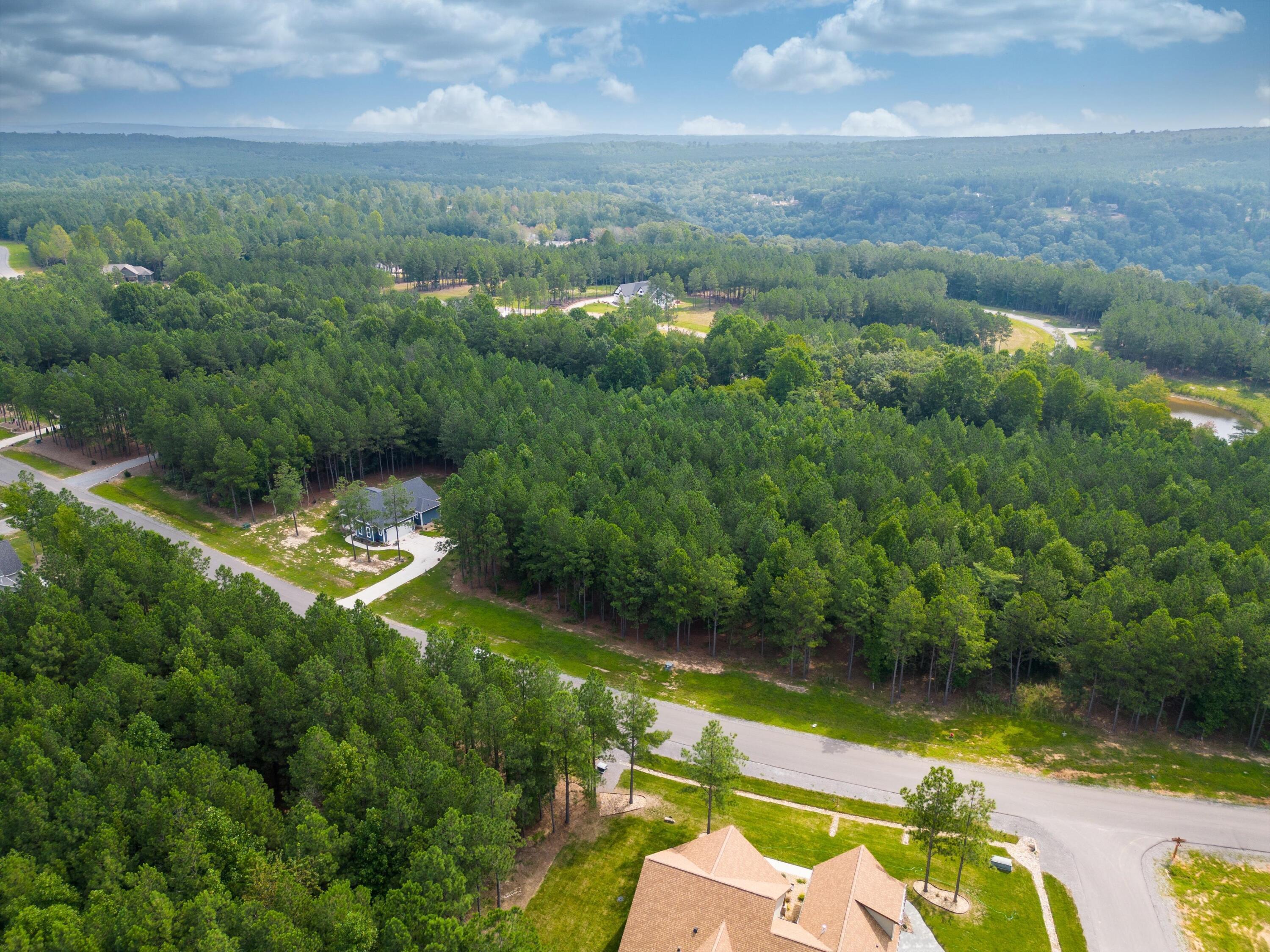 3525 Crockett Point, Unit JF135 Jasper, TN 37347 - Photo 7 of 22 07-JF135 Aerial (2 of 9)