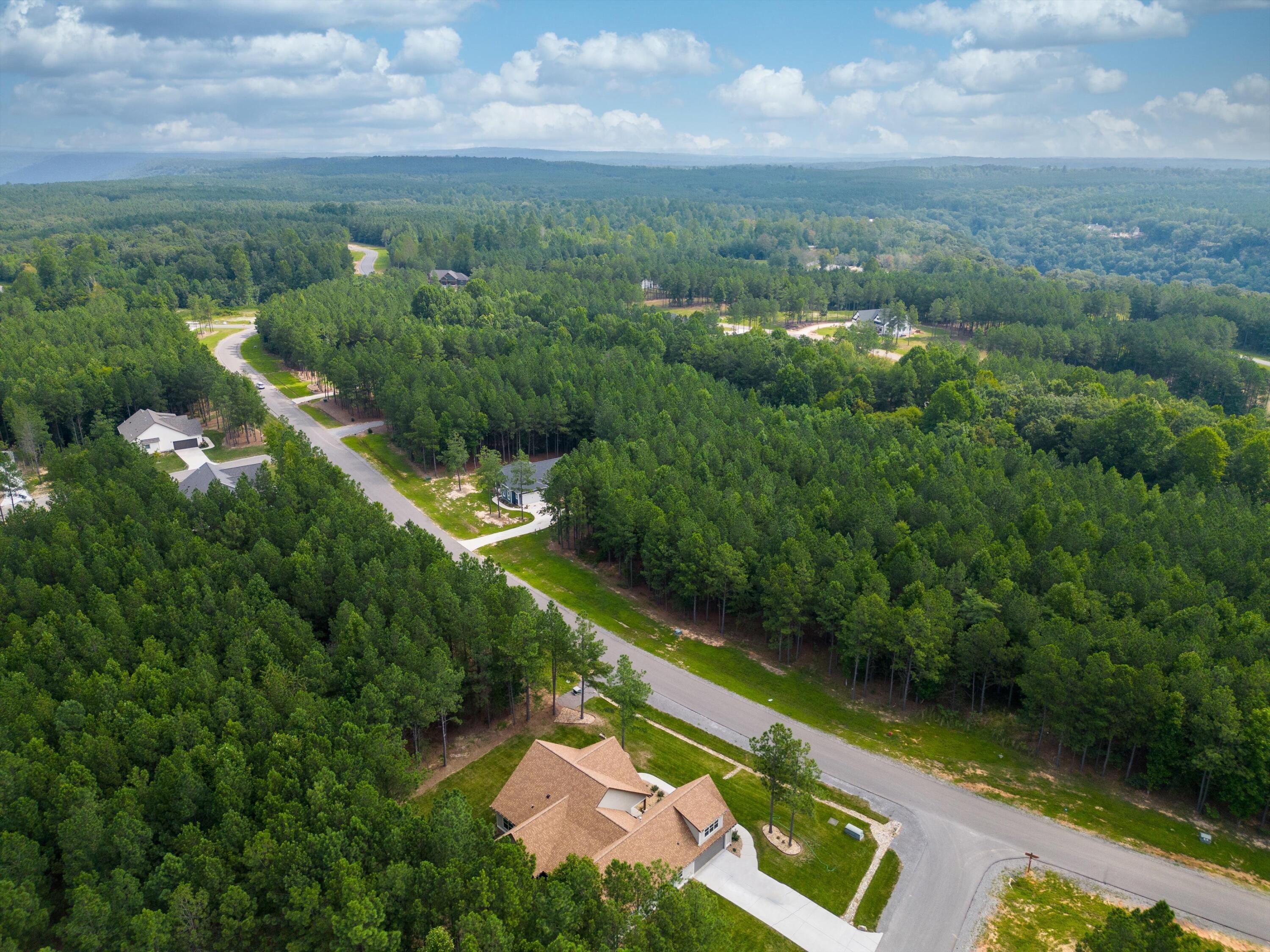 3525 Crockett Point, Unit JF135 Jasper, TN 37347 - Photo 8 of 22 08-JF135 Aerial (3 of 9)