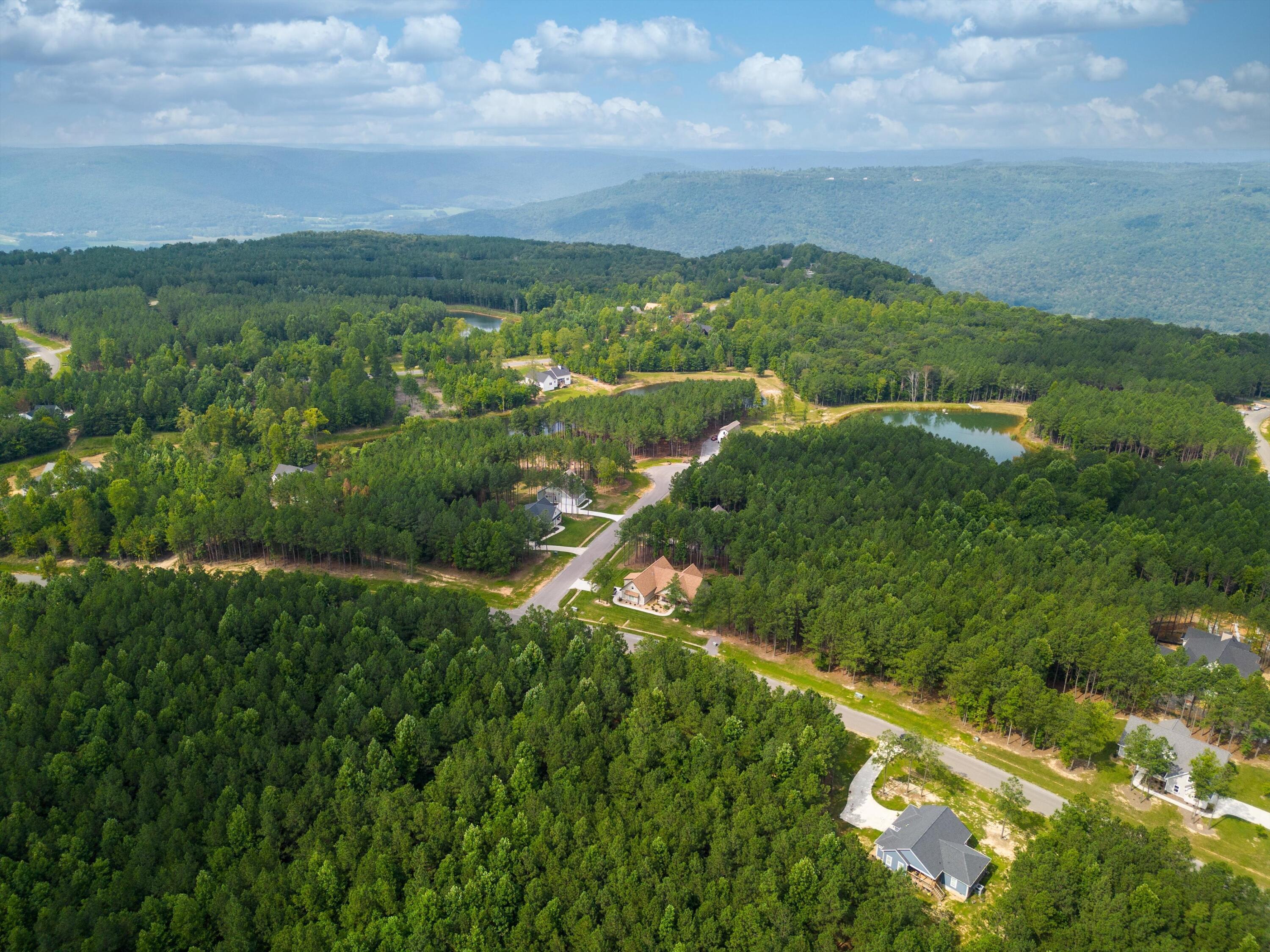 3525 Crockett Point, Unit JF135 Jasper, TN 37347 - Photo 10 of 22 10-JF135 Aerial (6 of 9)