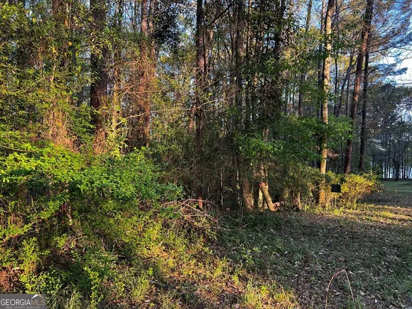 a view of outdoor space with trees