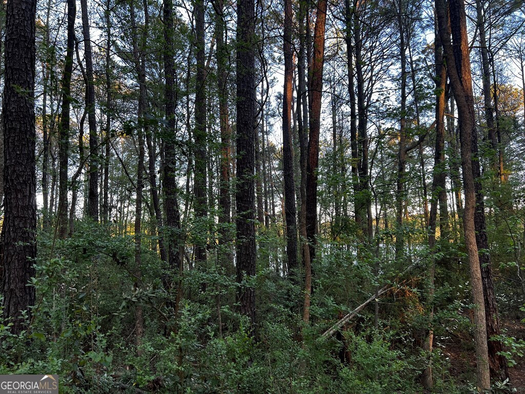 203 View Pointe Lane LaGrange, GA 30241 - Photo 11 of 16 a view of forest