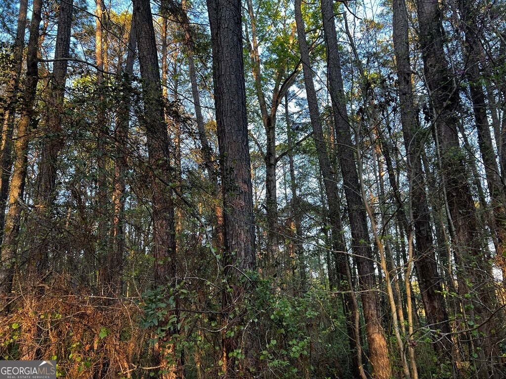 203 View Pointe Lane LaGrange, GA 30241 - Photo 12 of 16 a view of forest