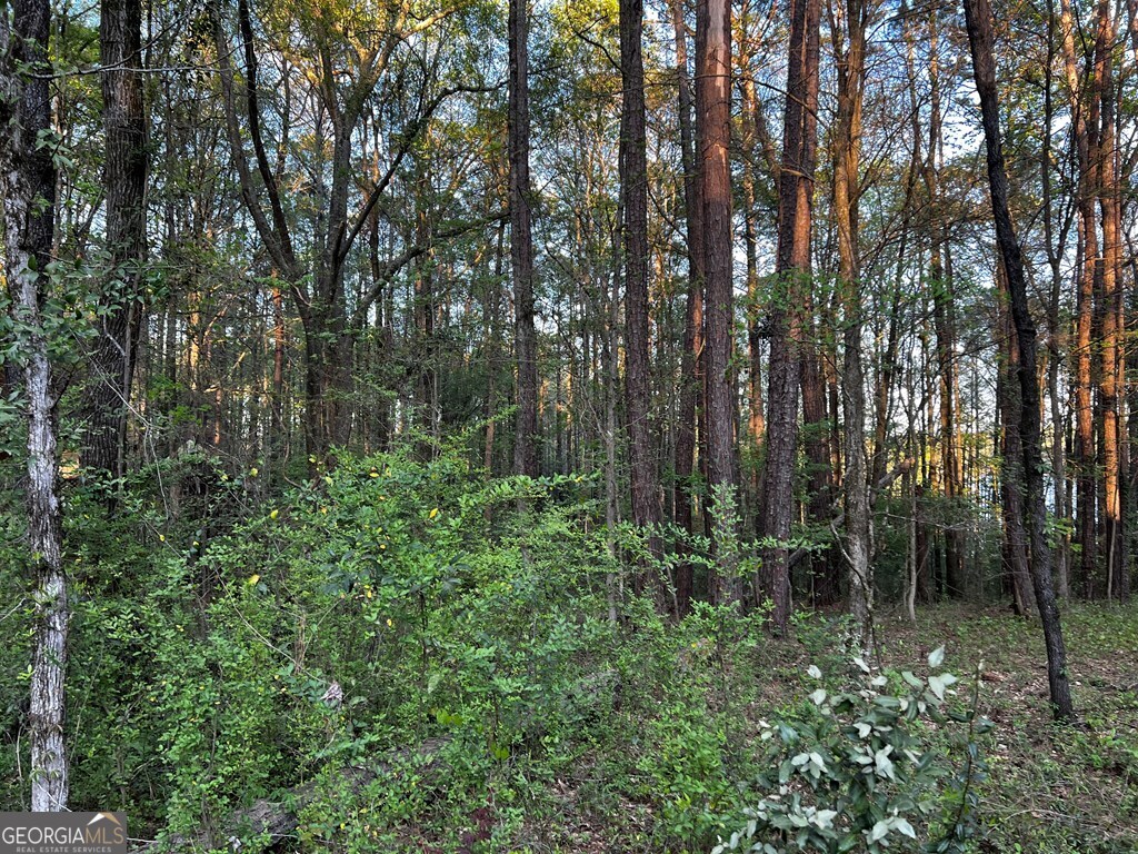 203 View Pointe Lane LaGrange, GA 30241 - Photo 13 of 16 a view of backyard with green space