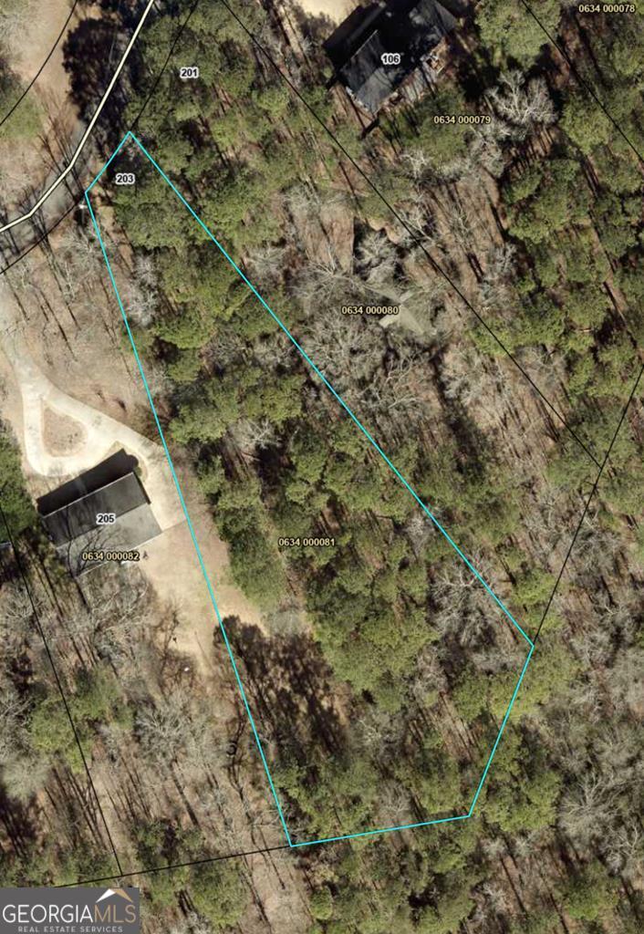 203 View Pointe Lane LaGrange, GA 30241 - Photo 15 of 16 a view of a forest with a tree