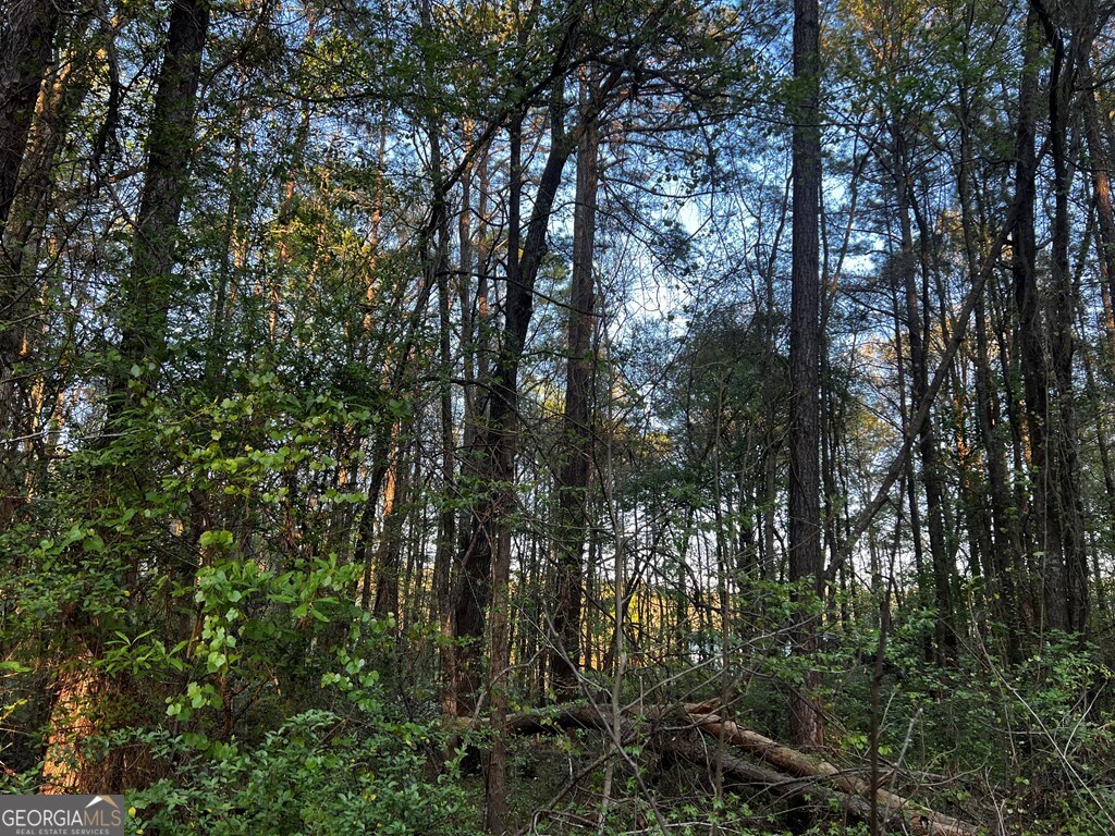 203 View Pointe Lane LaGrange, GA 30241 - Photo 2 of 16 a view of forest