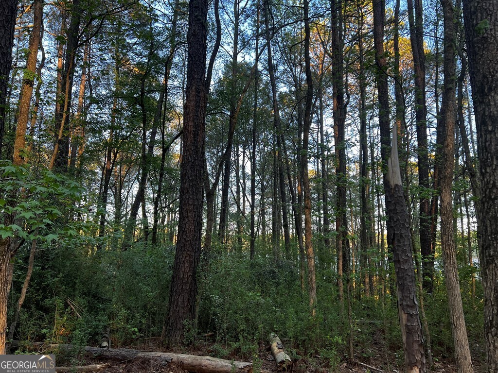 203 View Pointe Lane LaGrange, GA 30241 - Photo 3 of 16