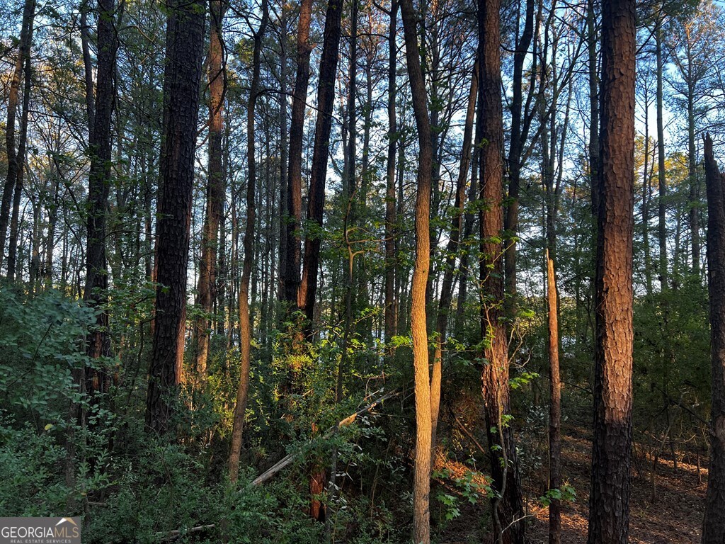 203 View Pointe Lane LaGrange, GA 30241 - Photo 4 of 16