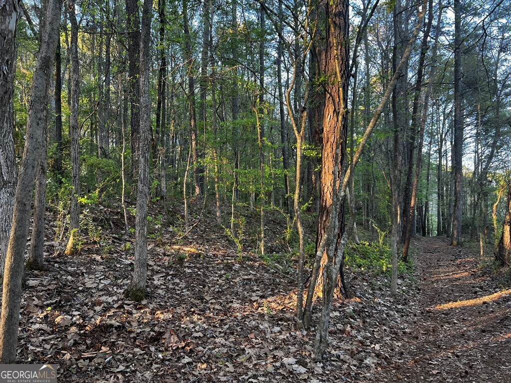 203 View Pointe Lane LaGrange, GA 30241 - Photo 5 of 16 a view of forest
