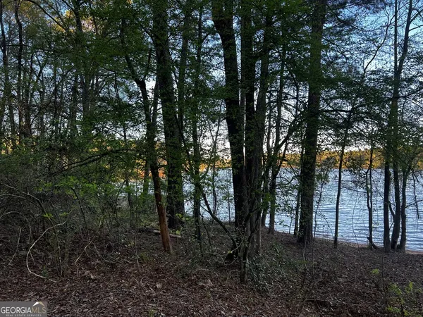 a view of outdoor space with lots of trees