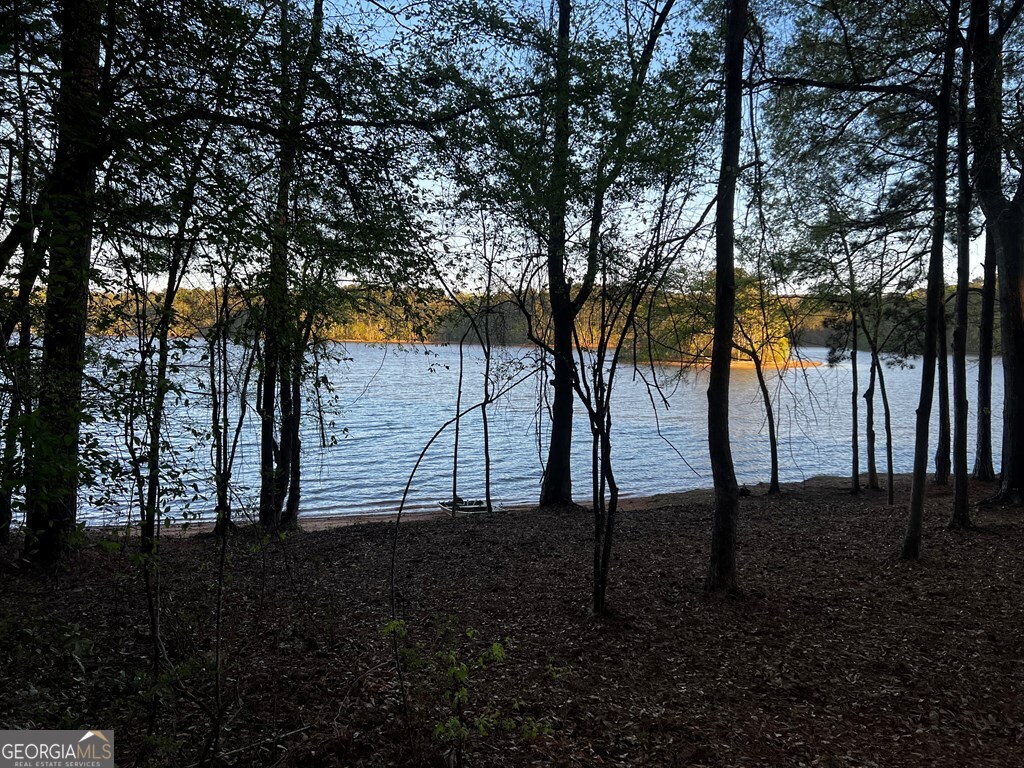 203 View Pointe Lane LaGrange, GA 30241 - Photo 7 of 16 a view of backyard with tree