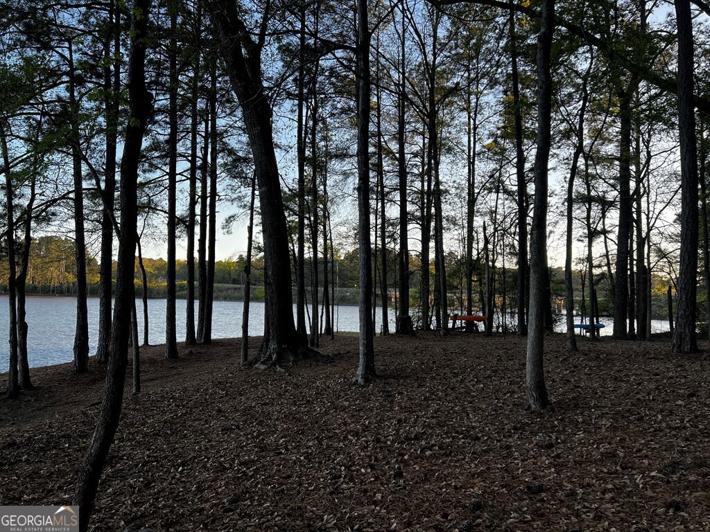 203 View Pointe Lane LaGrange, GA 30241 - Photo 8 of 16 a view of outdoor space with lots of trees