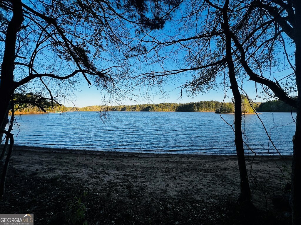 203 View Pointe Lane LaGrange, GA 30241 - Photo 9 of 16 a view of a backyard
