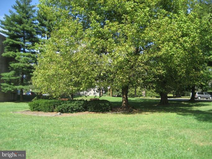 3814 Bel Pre Road, Unit 38149 Silver Spring, MD 20906 - Photo 3 of 27 a view of a yard with a trees