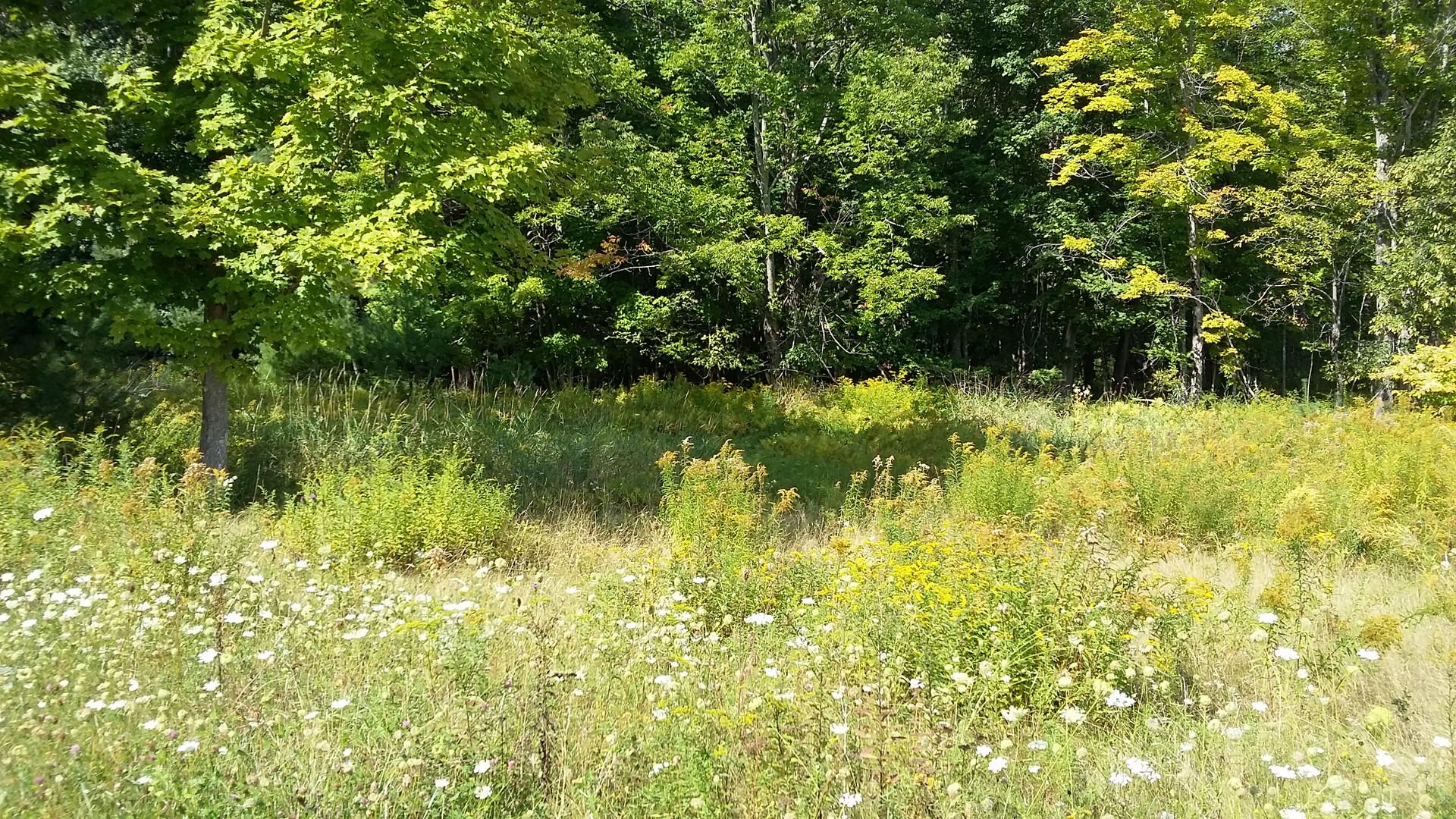 0 South Road Readfield, ME 04355 - Photo 3 of 4 3 (Copy)