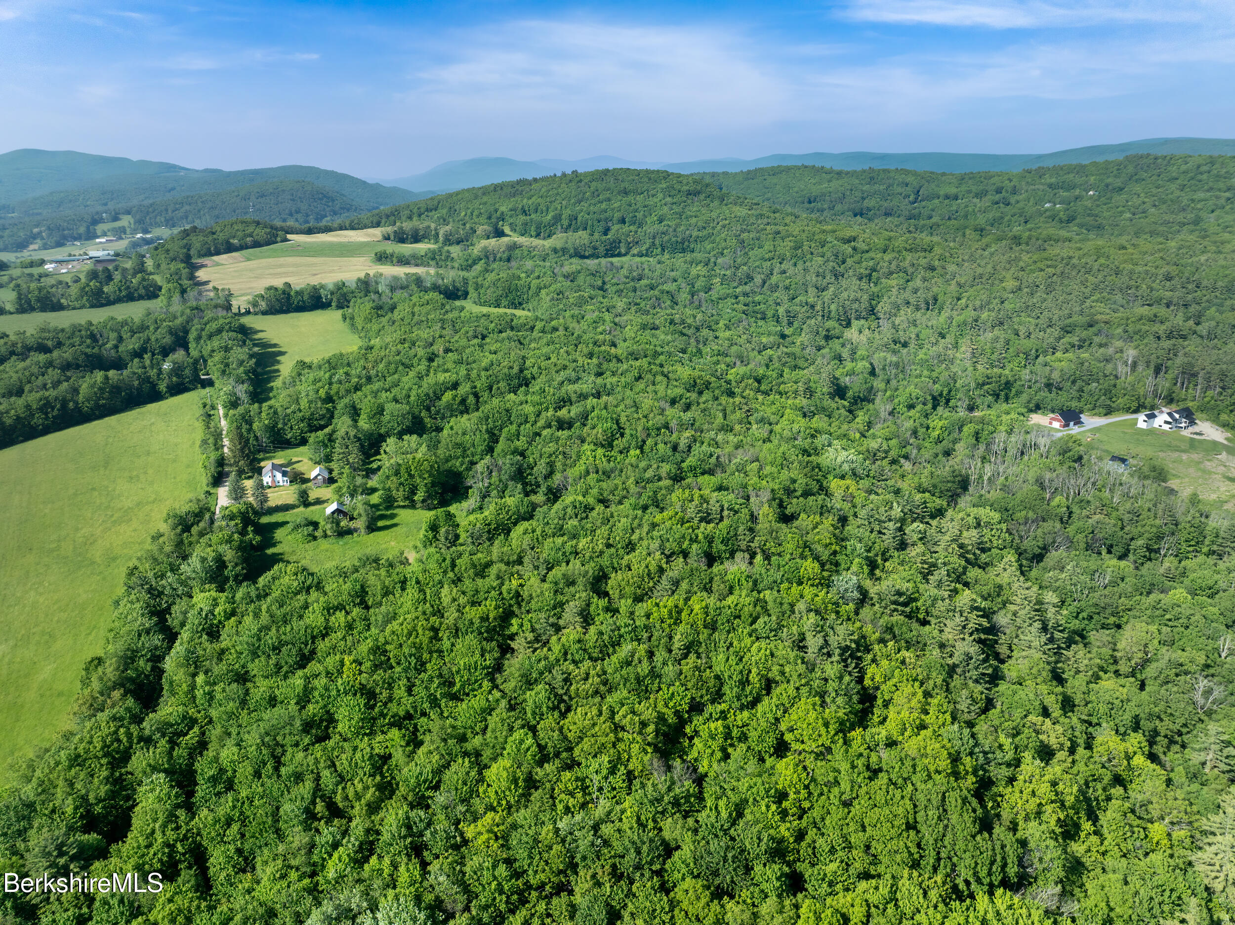 556 Mann Hill Road Pownal, VT 05261 - Photo 6 of 36 a view of a big yard with plants and large trees