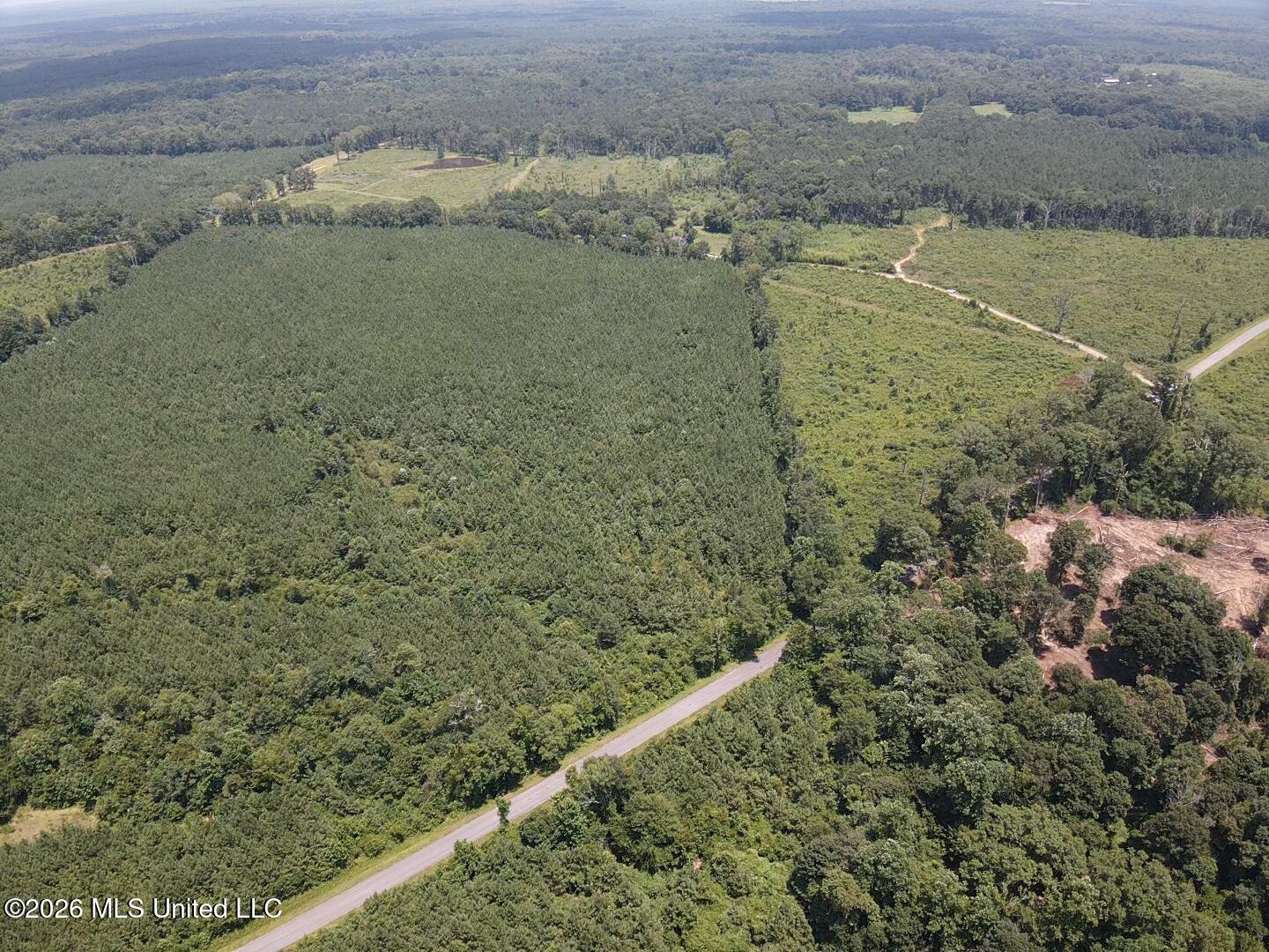 131 B County Road Morton, MS 39117 - Photo 17 of 25 2026-07-05-13-46-45-305