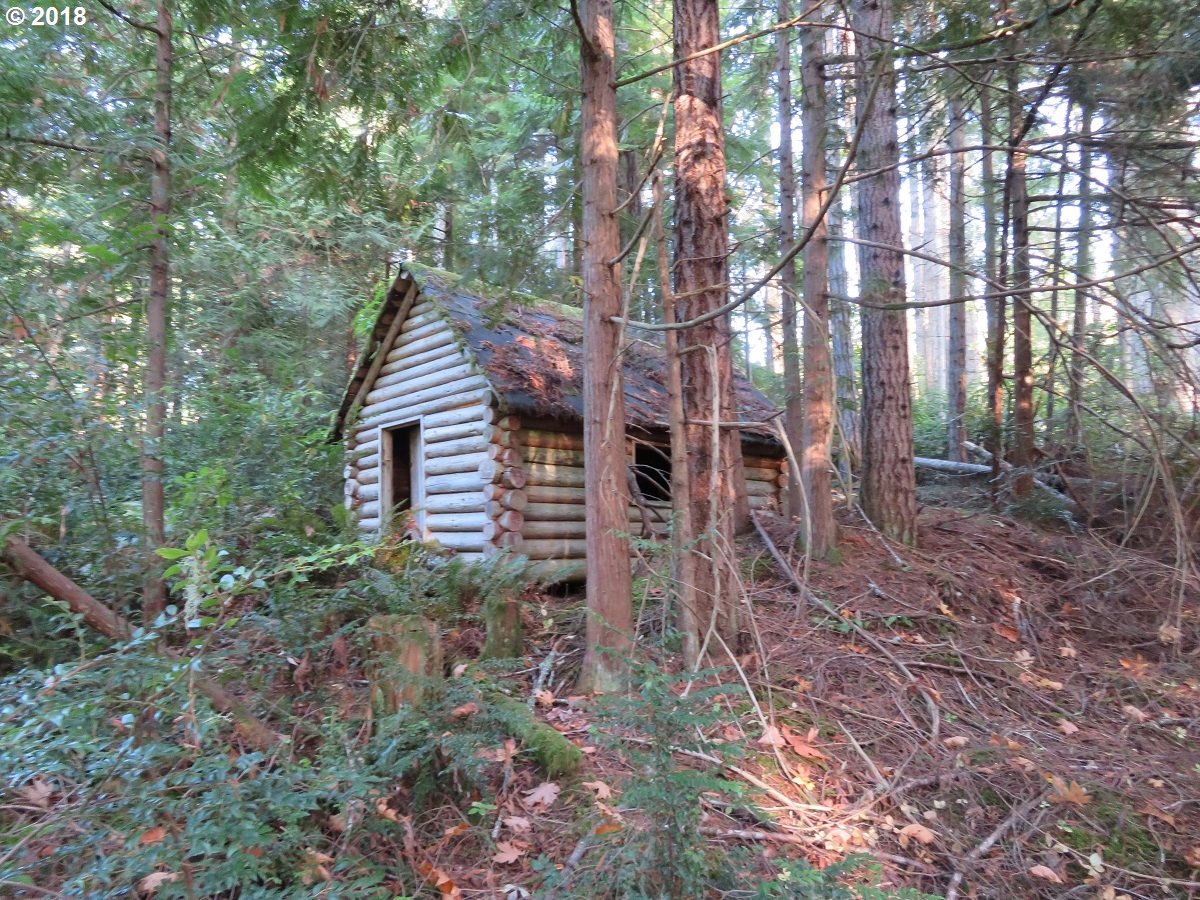 Lester Road Silverdale, WA 98383 - Photo 1 of 28 Gallery Image 1