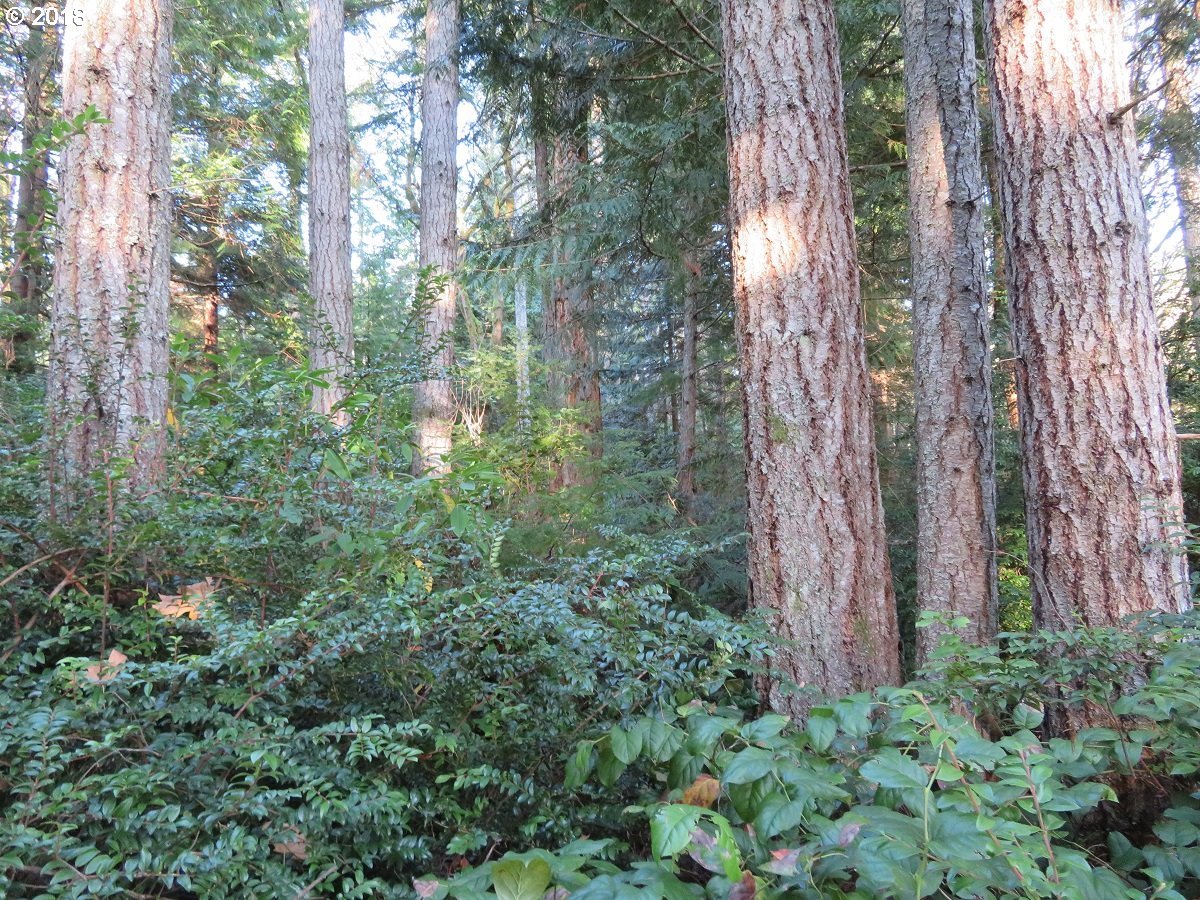 Lester Road Silverdale, WA 98383 - Photo 2 of 28 Gallery Image 2