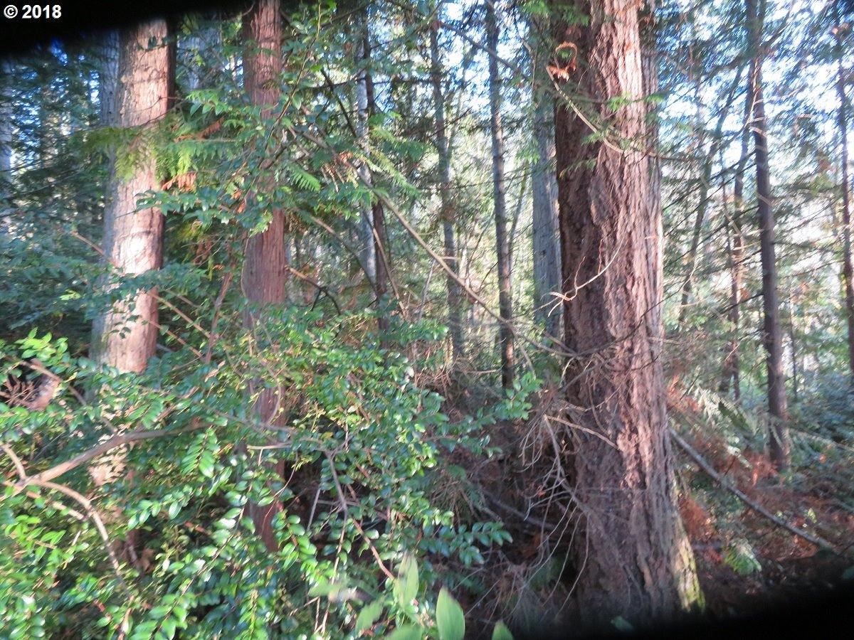 Lester Road Silverdale, WA 98383 - Photo 11 of 28 Gallery Image 11